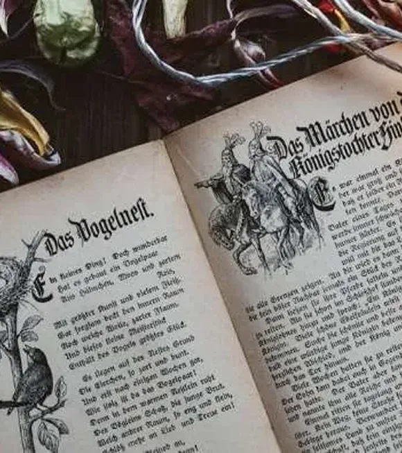 An open book displaying an illustration of a bird surrounded by colorful flowers.